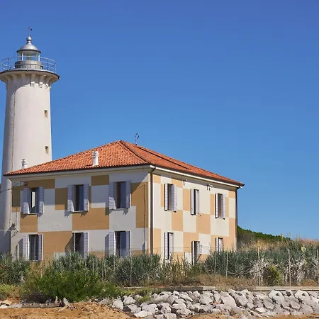 Embrace The Life In Our Functional