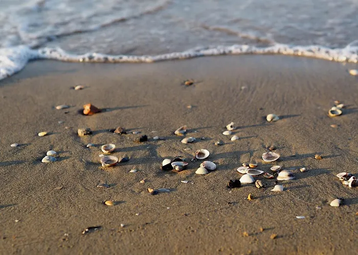 Embrace The Life In Our Functional Appartamento *