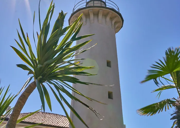 Embrace The Life In Our Functional